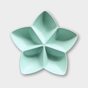 Sun Squad Sectioned Serving Star Platter
