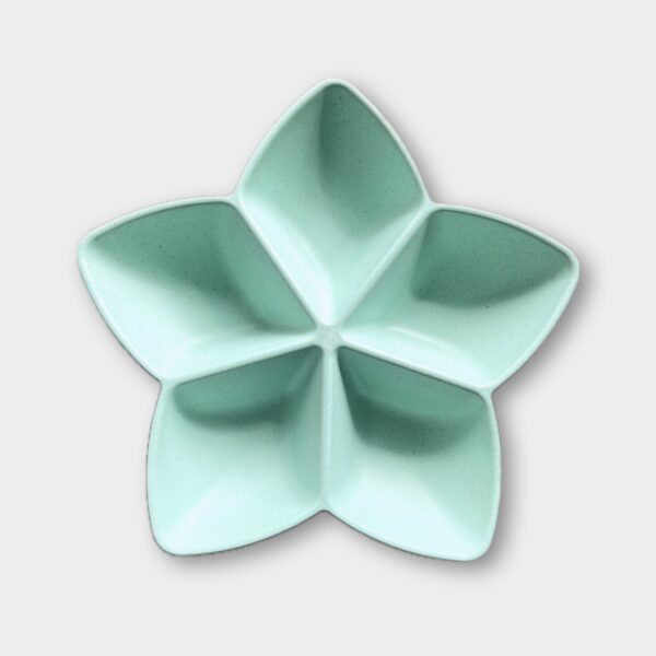 Sun Squad Sectioned Serving Star Platter