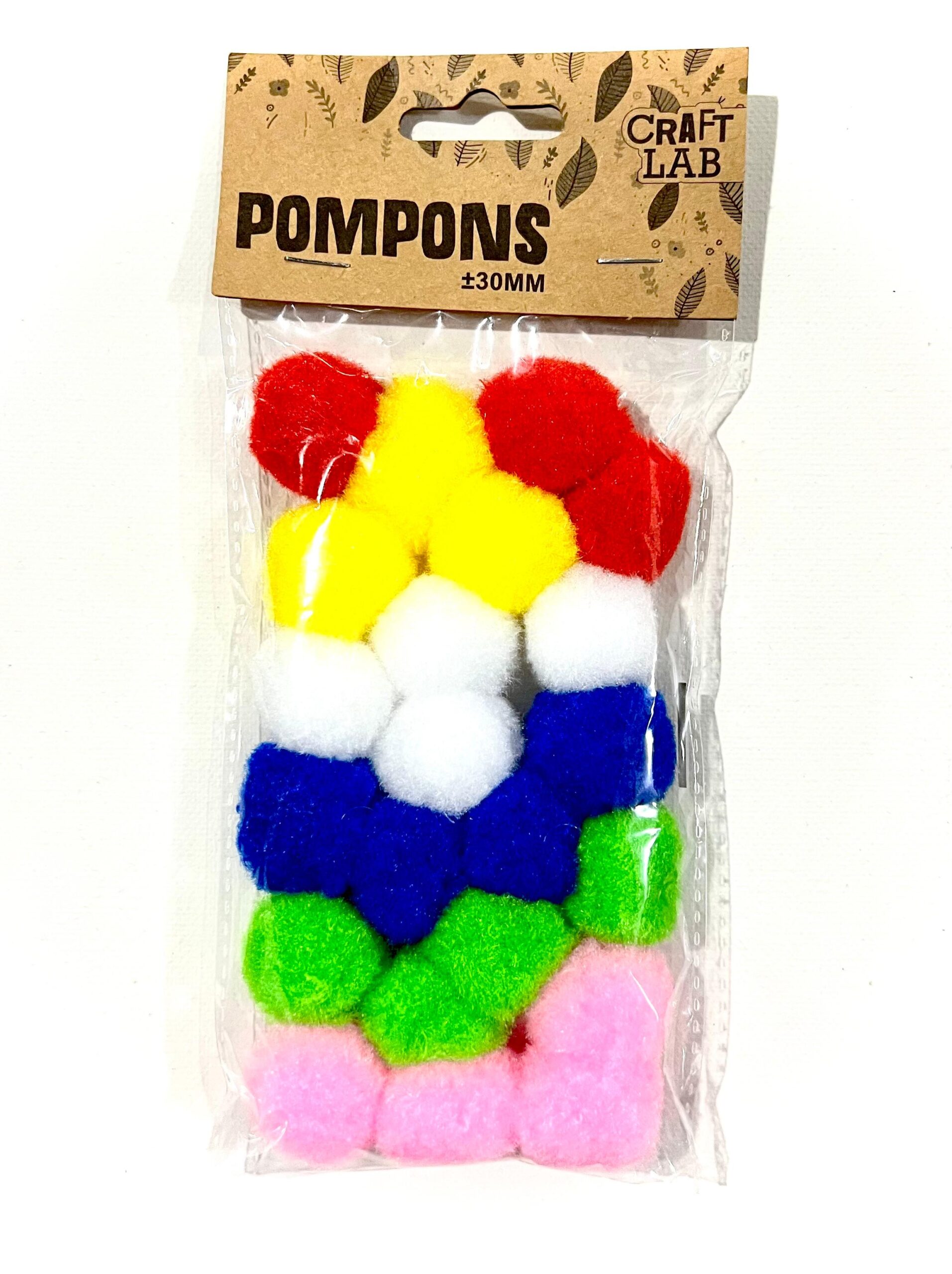 Pompoms Crafts Pack